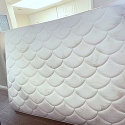 Free Queen Matresss 