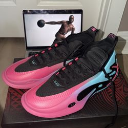 WAY OF WADE 11 (brand new)