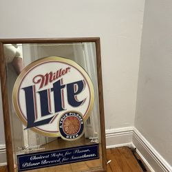 Mirror Miler