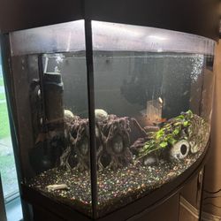Aquarium