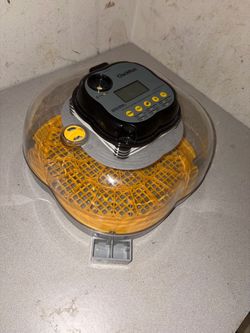 Incubator for hatching eggs