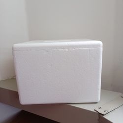 Free Small Foam Ice Box With Ice Block