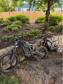 Talaria mx3 sting (TRADES)