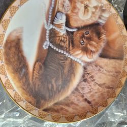 Cat Plate Collection 
