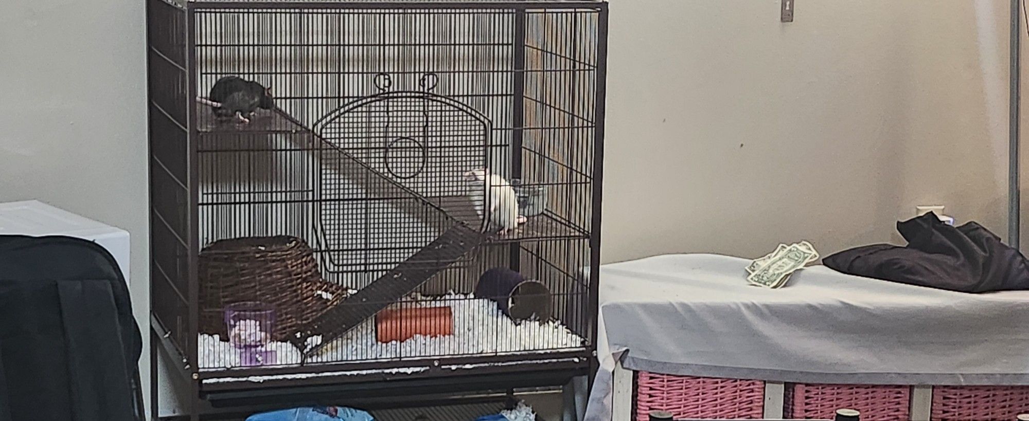 Pet Cage