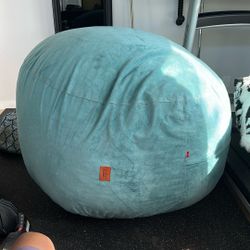 CordaRoy’s Bean Bag Chair/bed