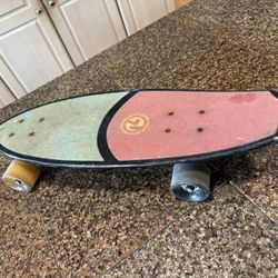 2020 Kryptonics Skateboard 23” Mini Fat California Cruiser
