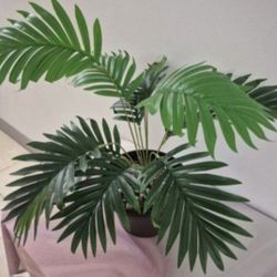 *** REDUCED *** Faux Potted Plant with Mixed Colored Stone @ Lasting Creations