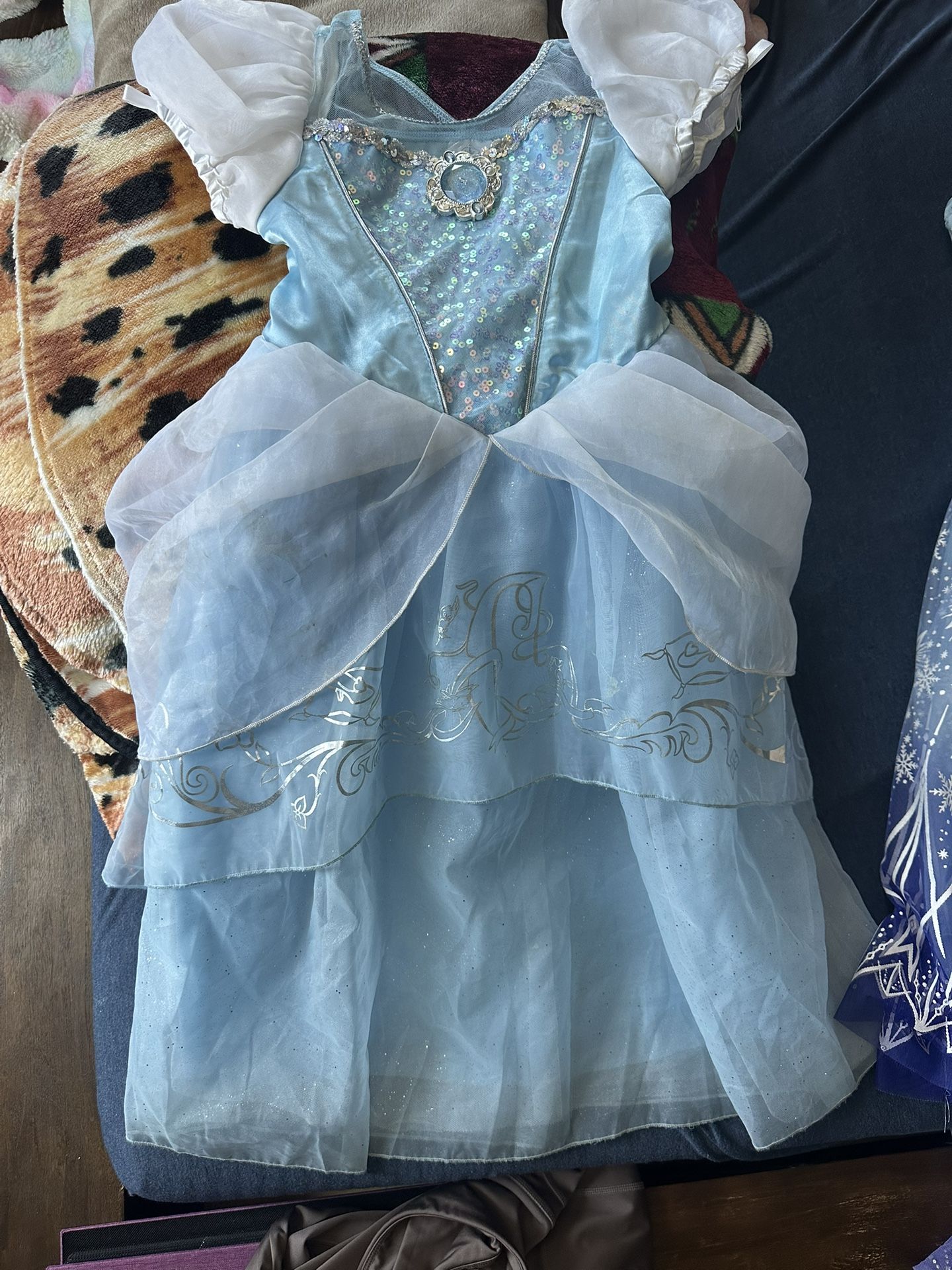 Cinderella Costume