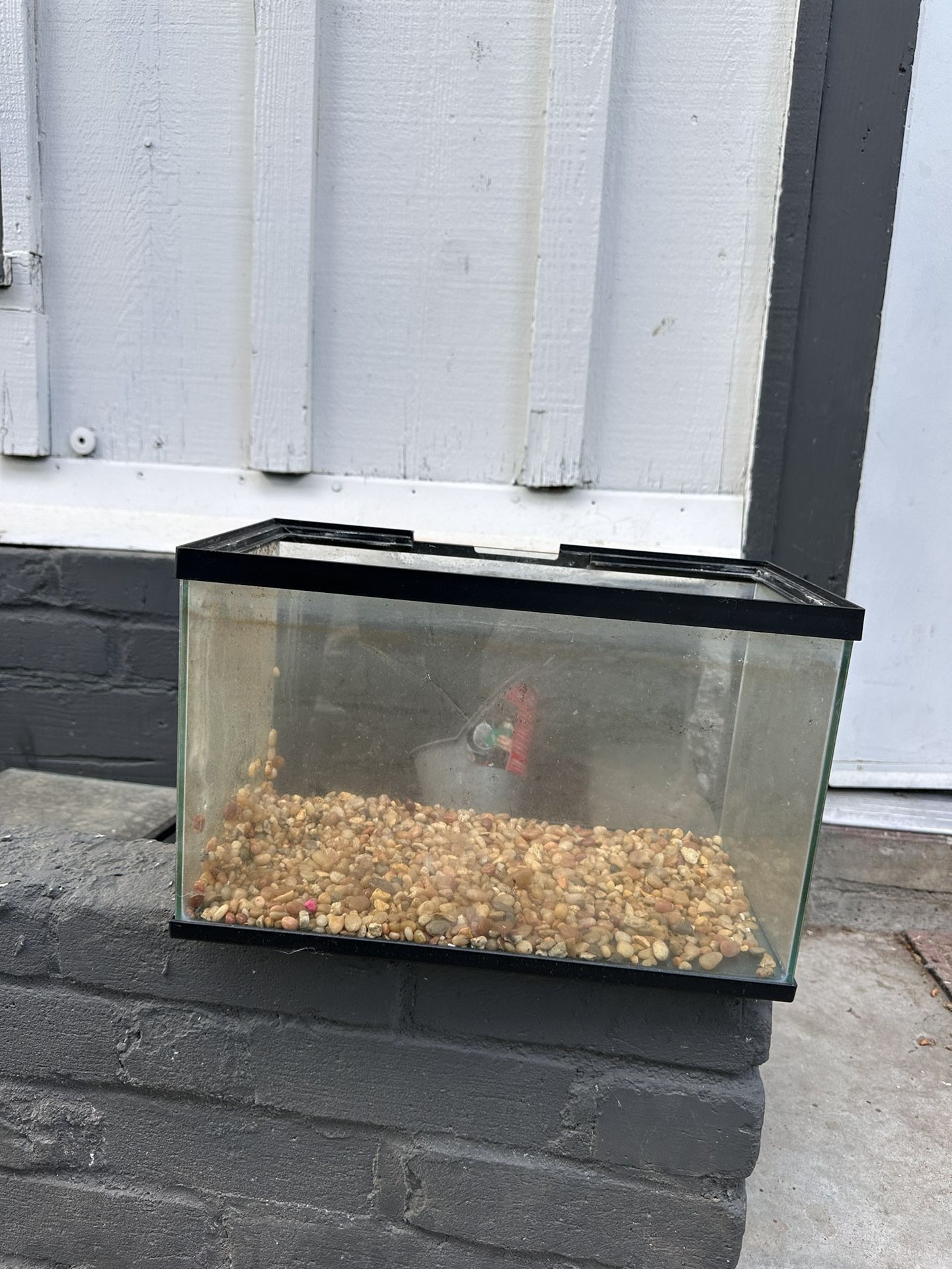 Fish Tank
