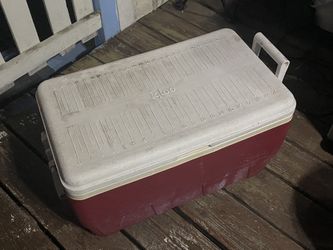 Large Igloo Cooler Box