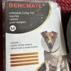 Dog Recovery Collar