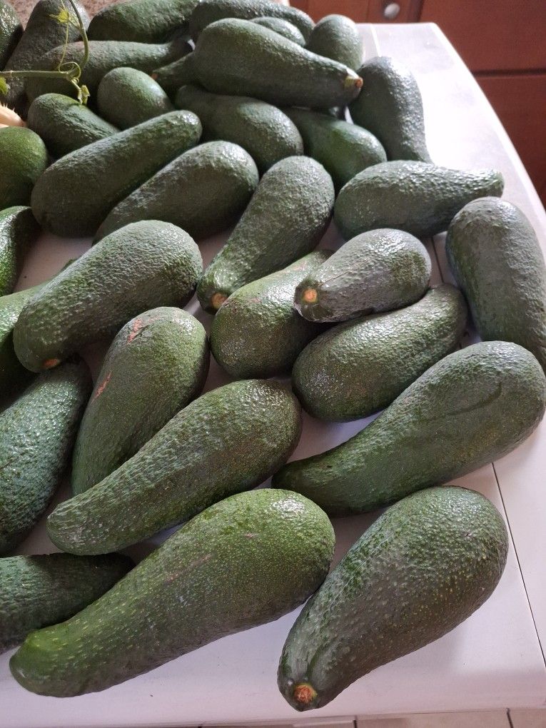 Aguacates
