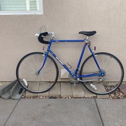 Men’s Nishiki Rally