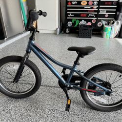 16-Inch Giant Animator Youth Bike