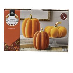 Members Mark Flocked Pumpkins 