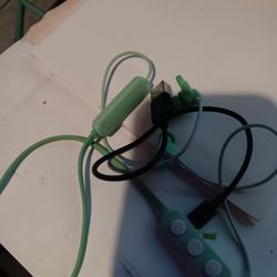 Earphones