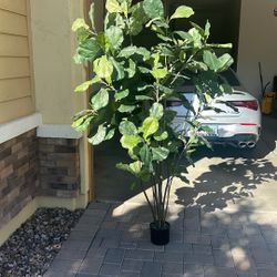 Artificial Fig Tree
