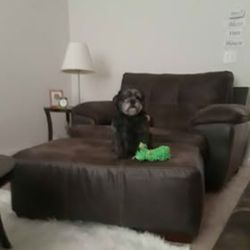 Oversized chair and ottoman by Jackson