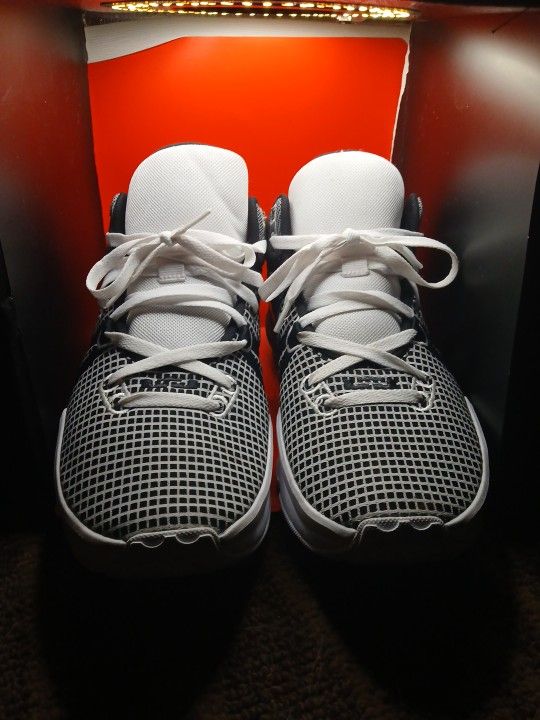 LEBRON JAMES NIKE WITNESS SHOES 