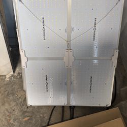 Spider farmers grow lights