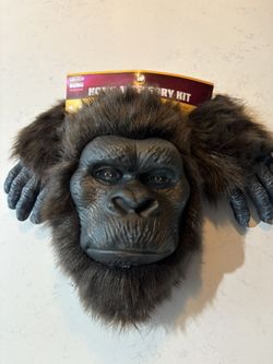 Kong Accessory Kit