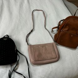 Backpacks and Purse 