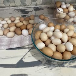Organic Eggs For Sell 🥚 