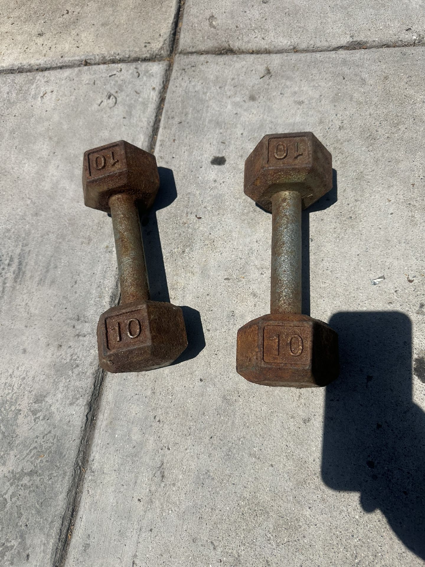 10 Pound Dumbbells