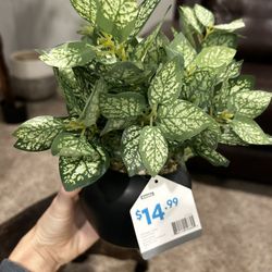 Faux plant 