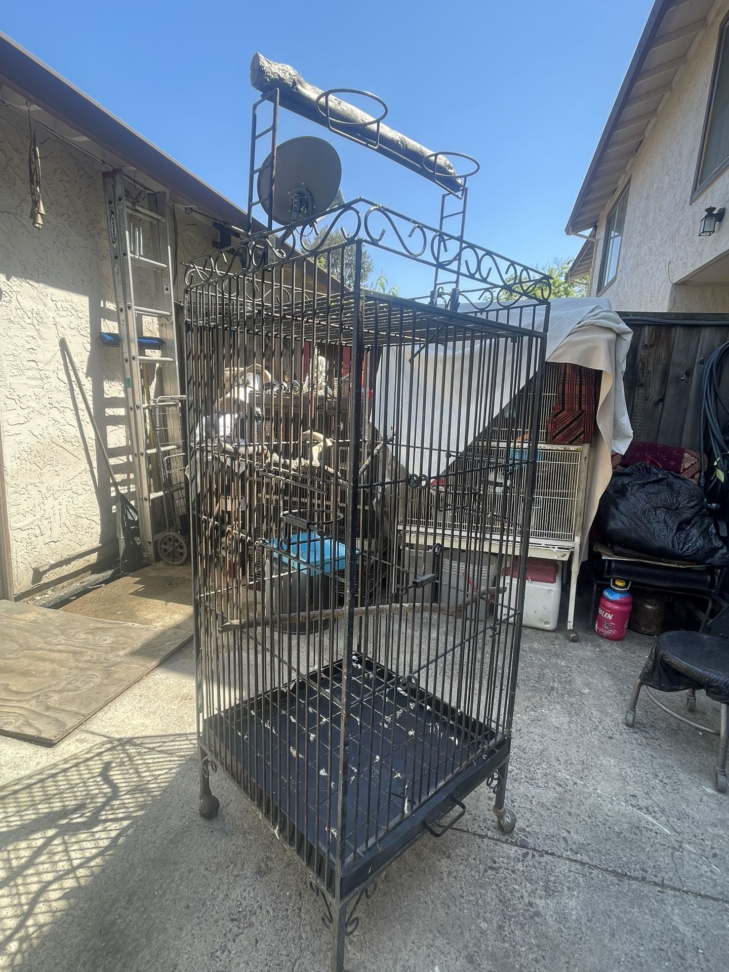 Metal Parrot / Bird Cage