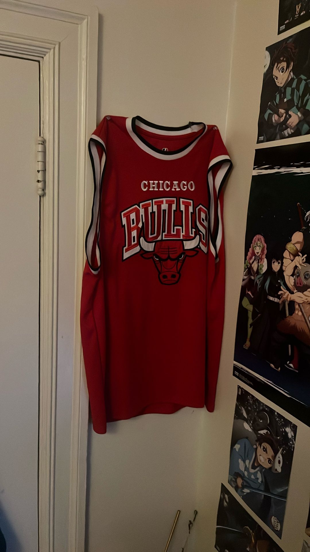 Chicago Bulls Nba Jersey