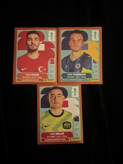 Panini World Cup Stickers Red Boarder