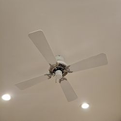 Ceiling Fan  White