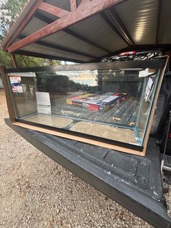 55 gallon tank