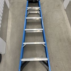 6ft Werner Ladder 250 lb capacity