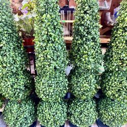 Nice Bonsai 4 Feet Artificial