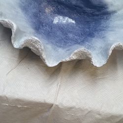 New Porcelain Seashell  Very Detailed High Quality Masterpiece 