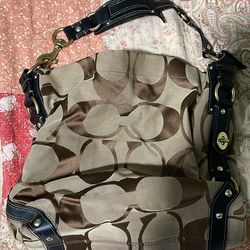 Coach Carly Hobo Bag Y2K