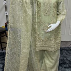 Pakistani Party Wear Dress 