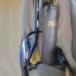 Everlast Heavybag and Stand