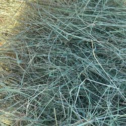 Round Bales $35 6-9 - 6-11 