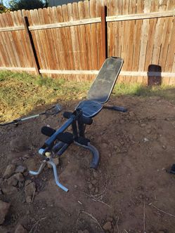 Weight bench free