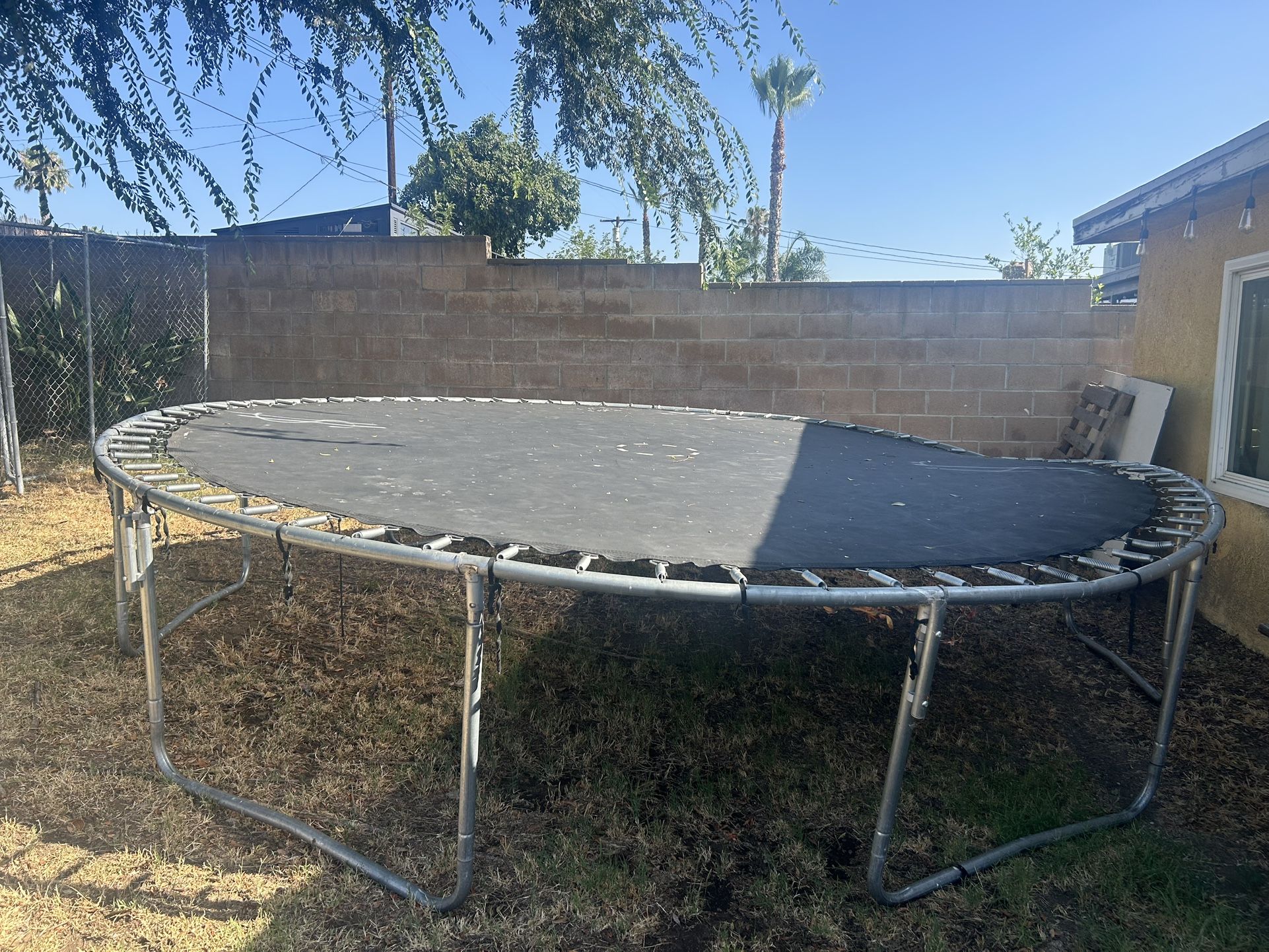 Trampoline