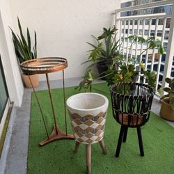 Plant Stand / Holder