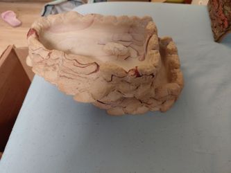 Reptile bowls (combo)