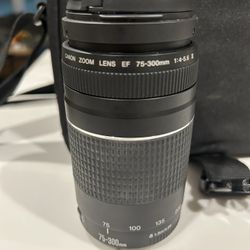 Canon Zoom Lens EF 75-300mm 1:4-5.6 