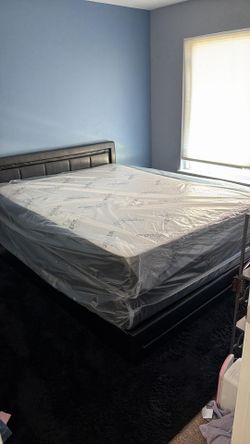 Queen Mattress and Box Spring