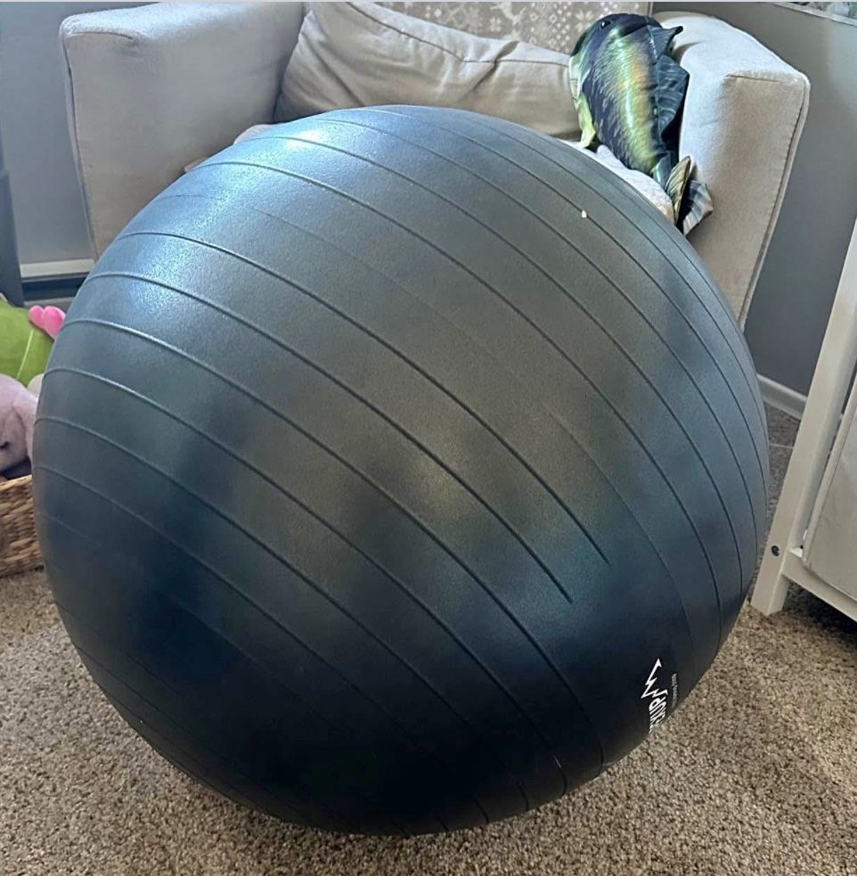 Weighted Exercise Ball