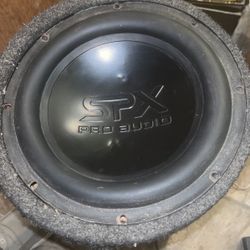 10 Inch SPX PRo Audio Subwoofer 